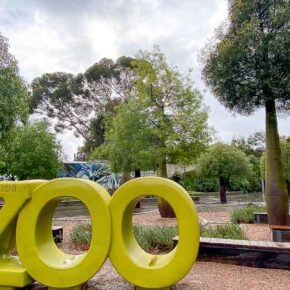 Adelaide Zoo - PCA2025